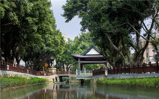 品一番 古梅鄉(xiāng)韻 ,感受現(xiàn)代化的田園詩意