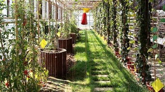 南林生態(tài)園1日游 親子產(chǎn)品,僅此一班