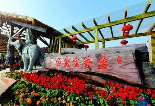 佛山團(tuán)建公司 戶外定向探索盈香生態(tài)園