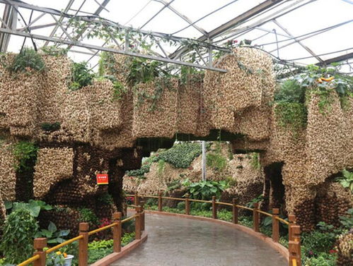 壽光家庭農(nóng)業(yè)科技生態(tài)園設(shè)計(jì)公司