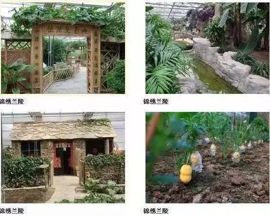 金秋之旅 蘭陵生態(tài)園賞向陽花、品美酒一日游