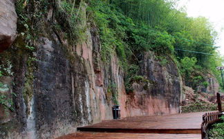 金釵石斛生態(tài)園與九龍?zhí)渡鷳B(tài)園掠影